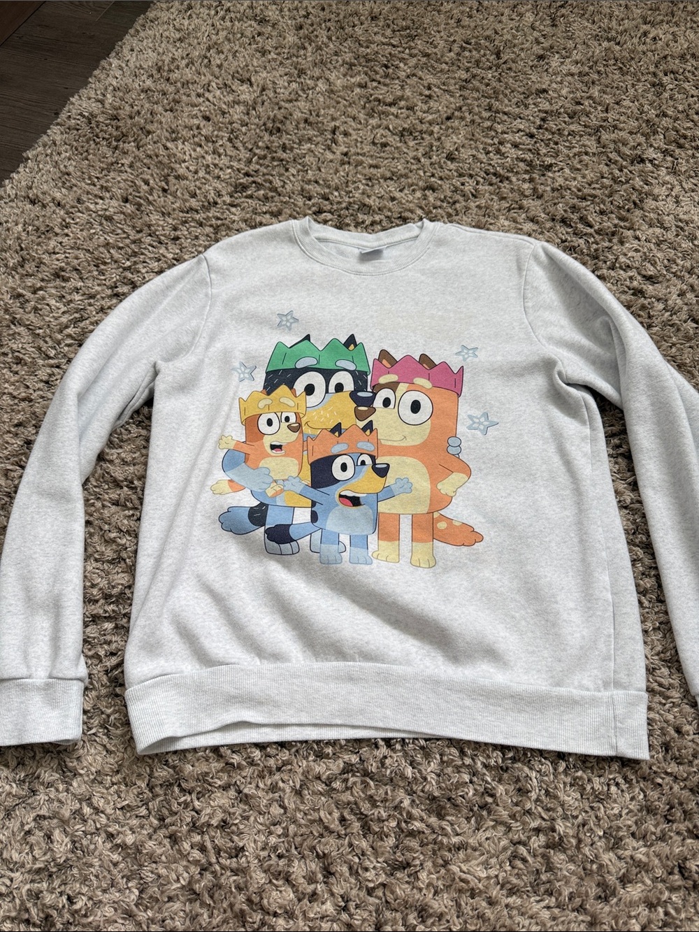 Bluey Light Gray Cartoon Family Crewneck Sweatshirt
